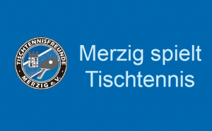 logo-mst