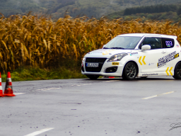 PKW Slalom - Hochwald/Losheim